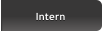 Intern
